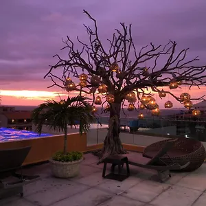 https://sax-house-306.hotelspuertovallarta.org