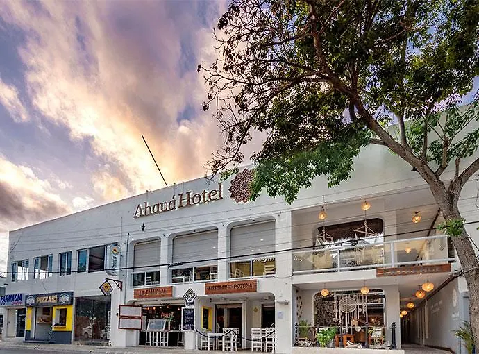 Ahava Hotel プレヤデルカーメン